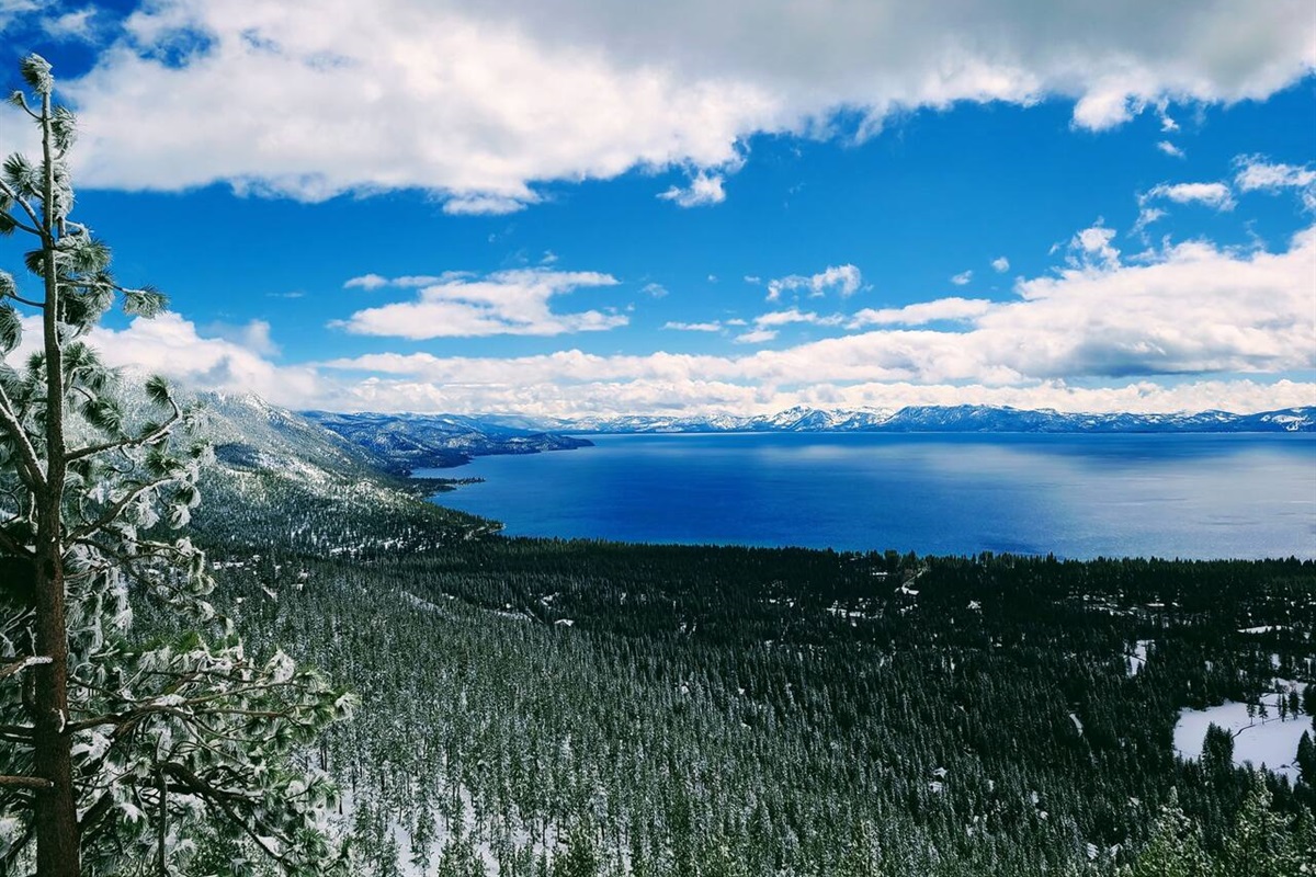 All of Incline Village is below--keeping the large pines around the Village is what allows this to be such a spectacular vista, from the main viewpoint along the Mt. Rose Hwy.  The Incline85 cabin is just down among the pines  to the right side.