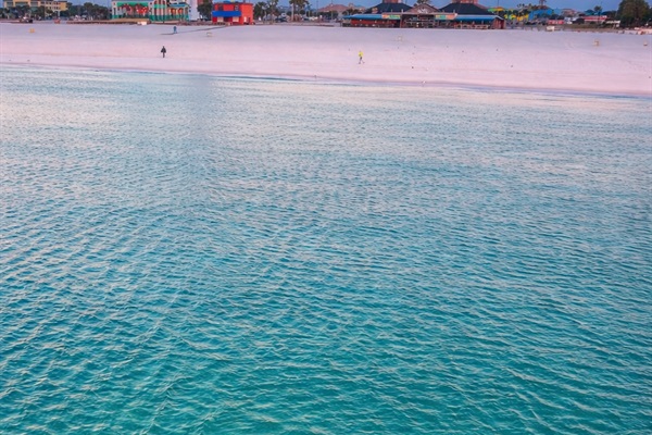 Dolphins just beyond your shoreline.