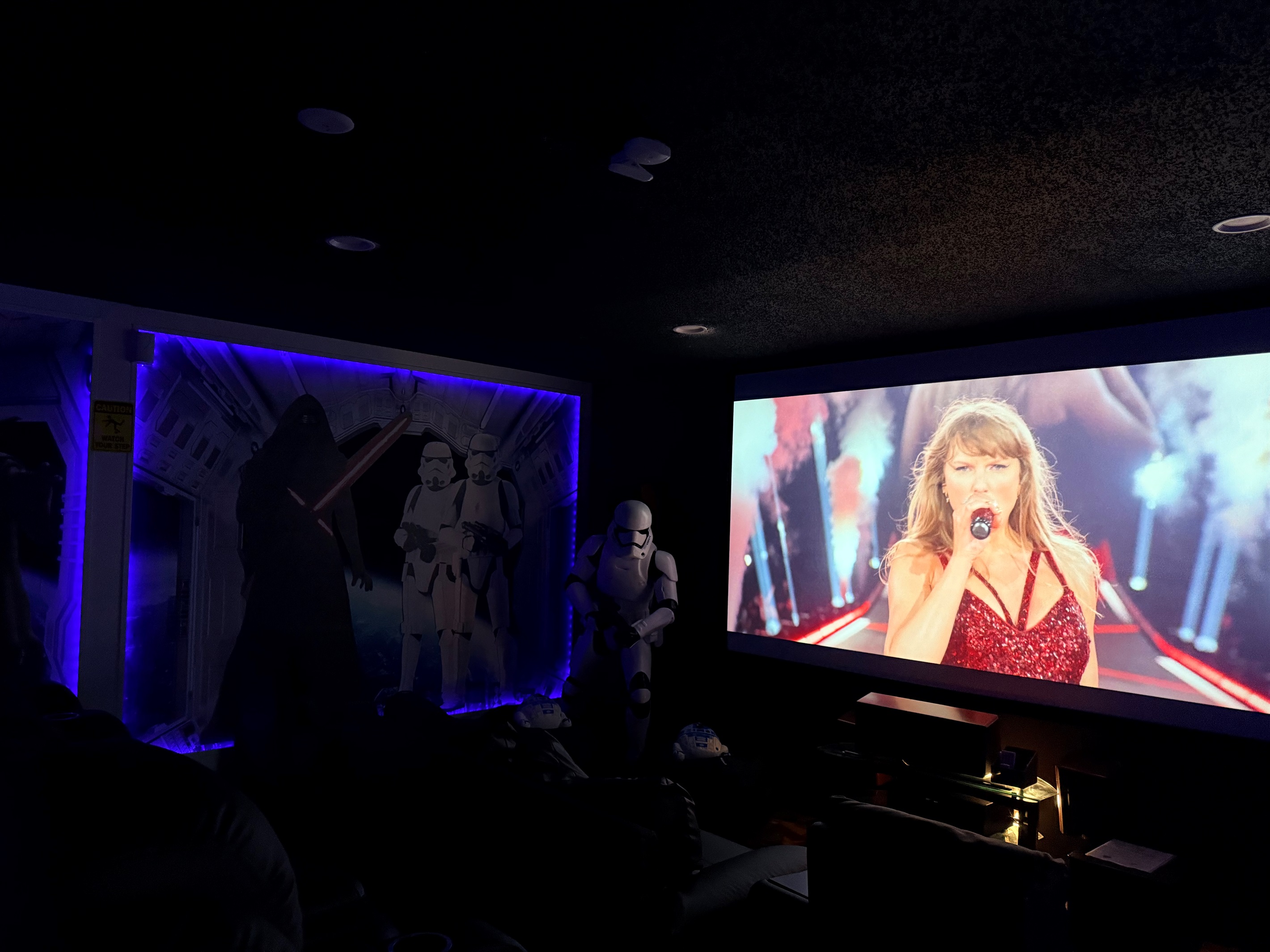 Watch concerts and sports - all right here on the Roku!