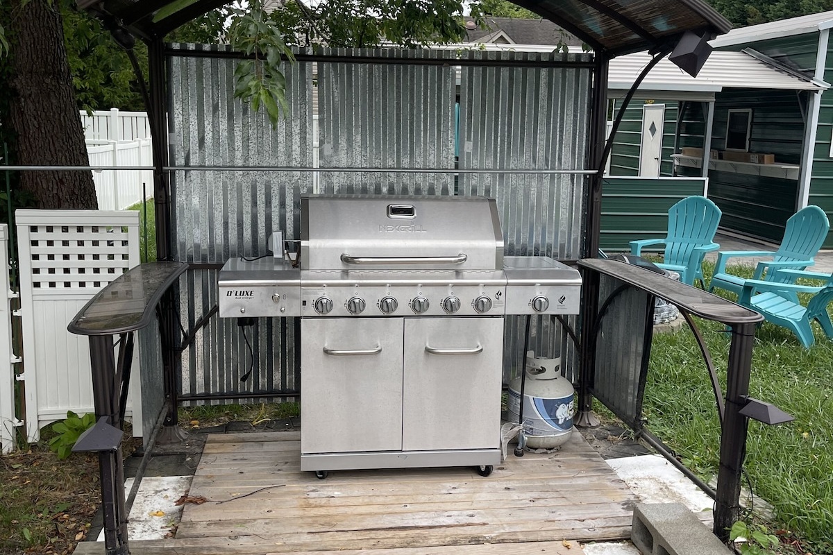 Covered gas grill 