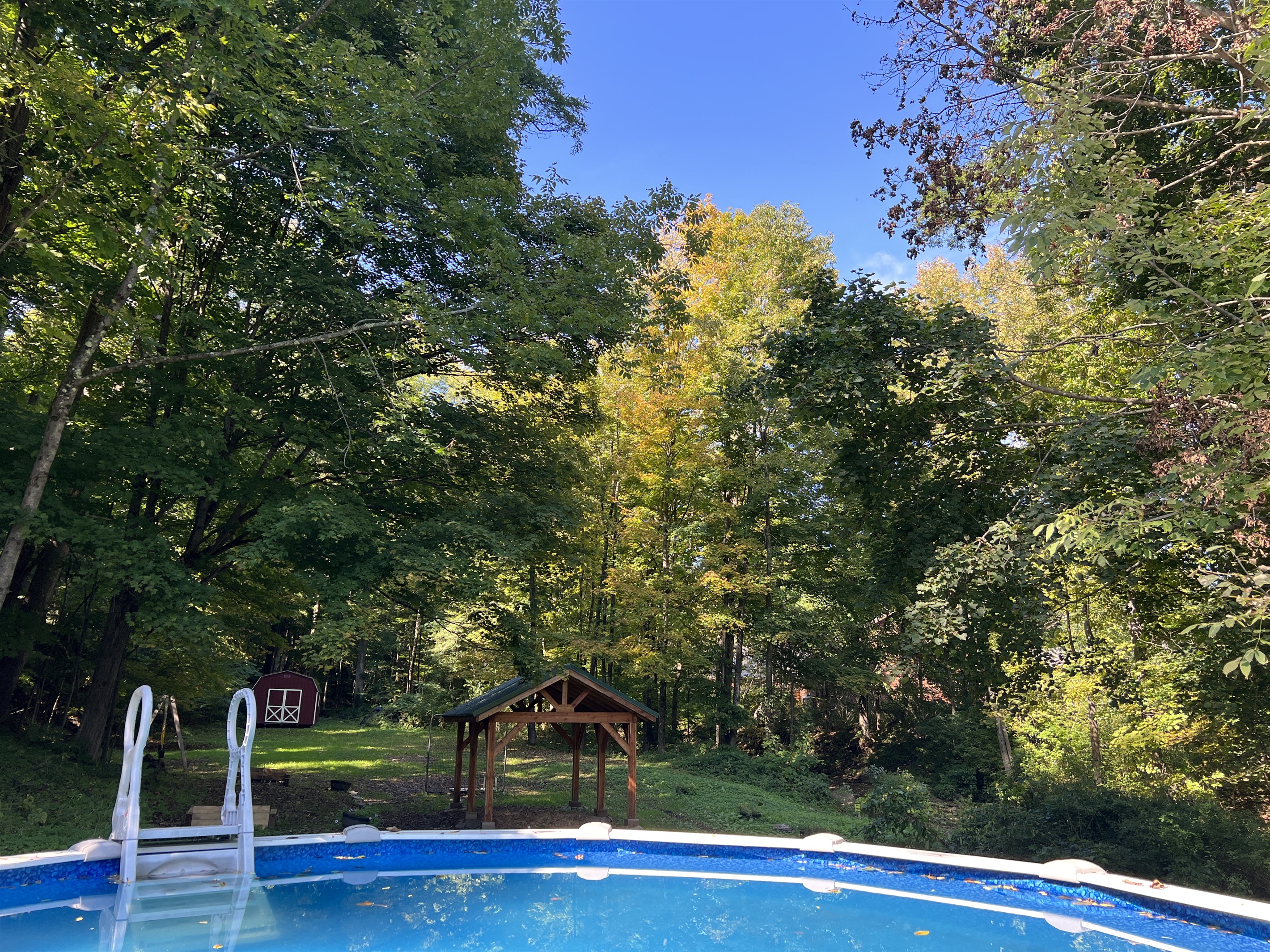 Shared above ground pool for Moonlight Graham Doc & Archie.