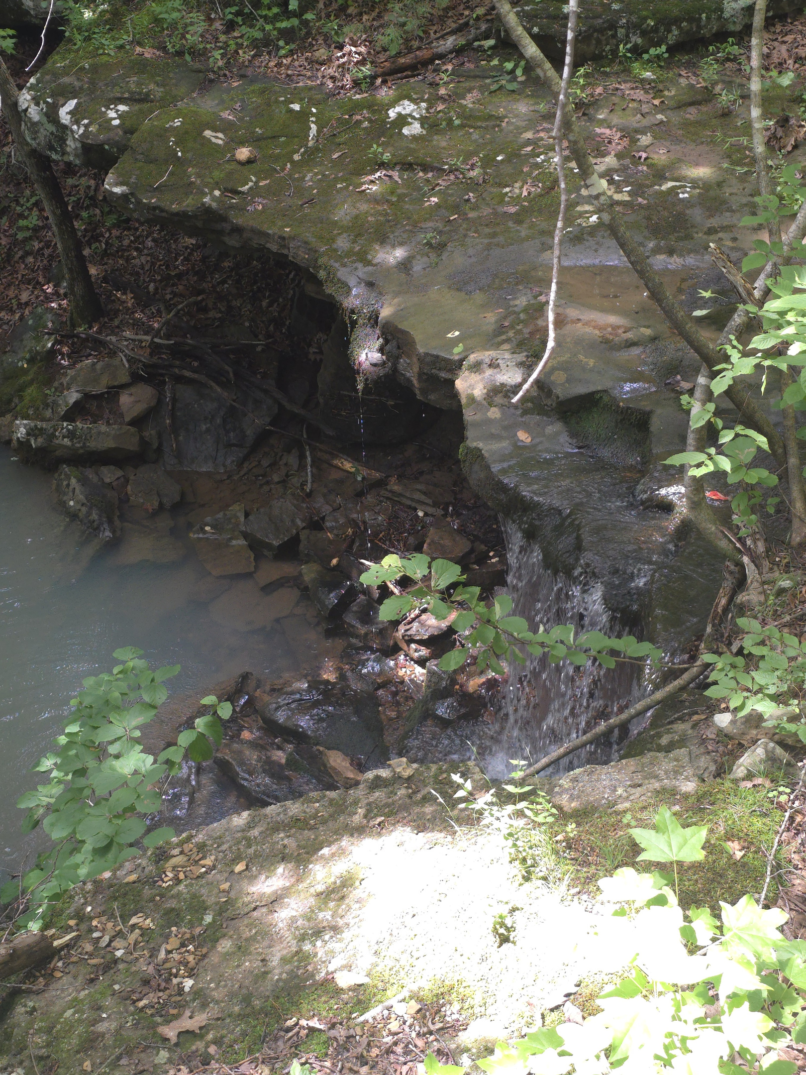 Waterfalls Next To The Cabin