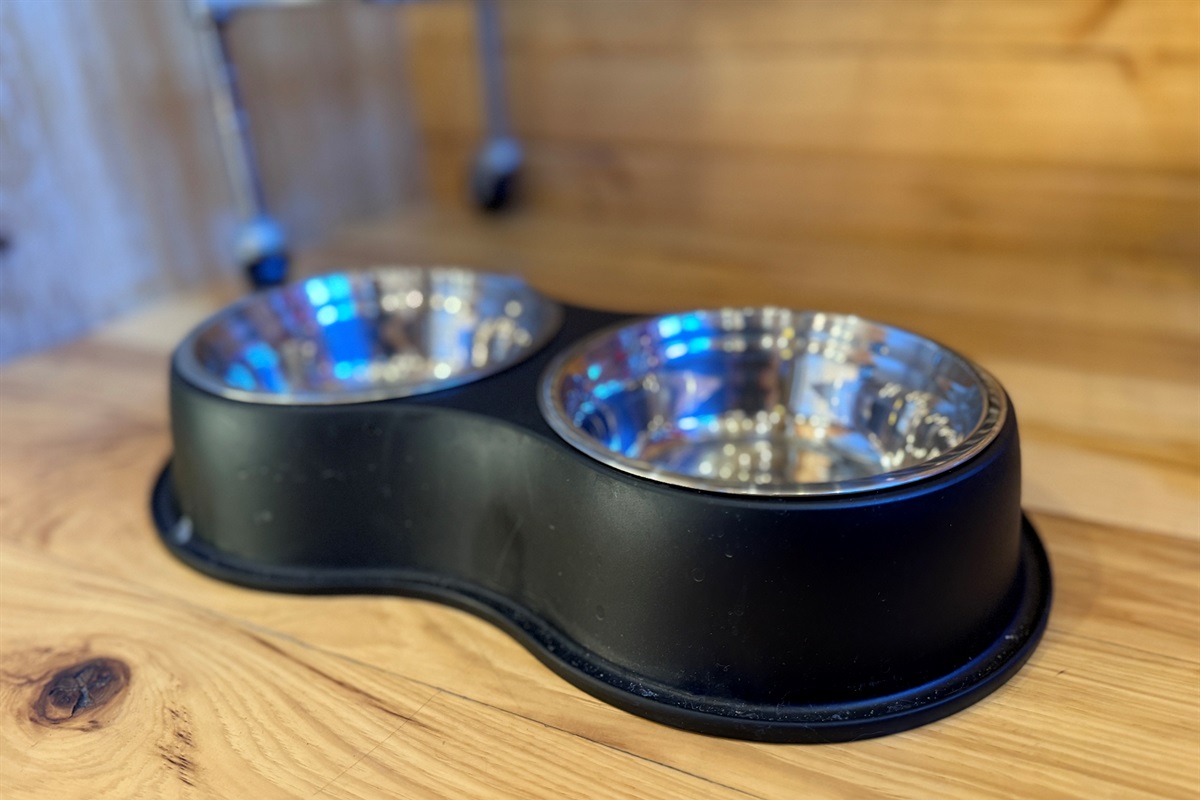 Dog bowls to make your furry buddies feel right at home!