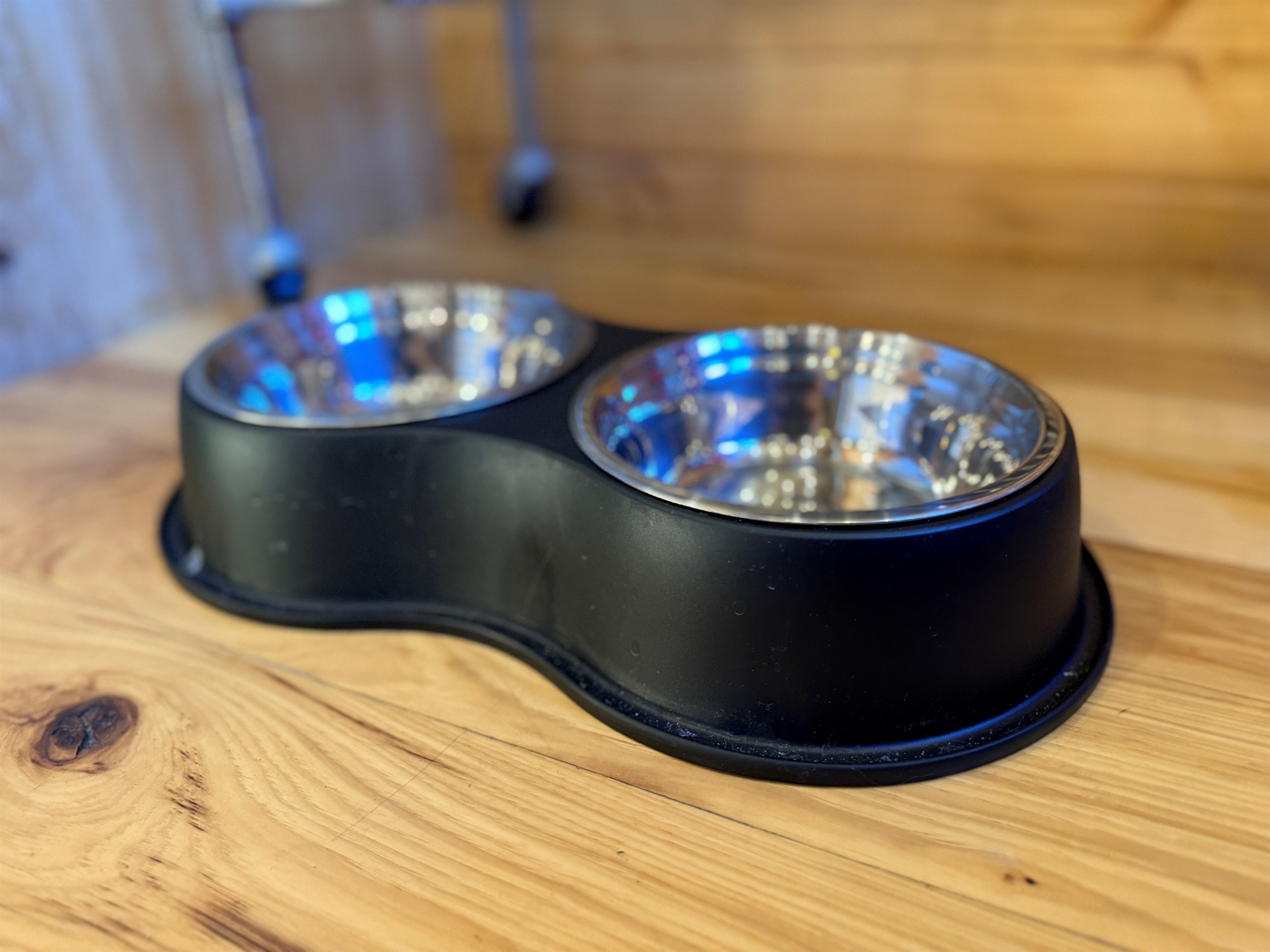 Dog bowls to make your furry buddies feel right at home!