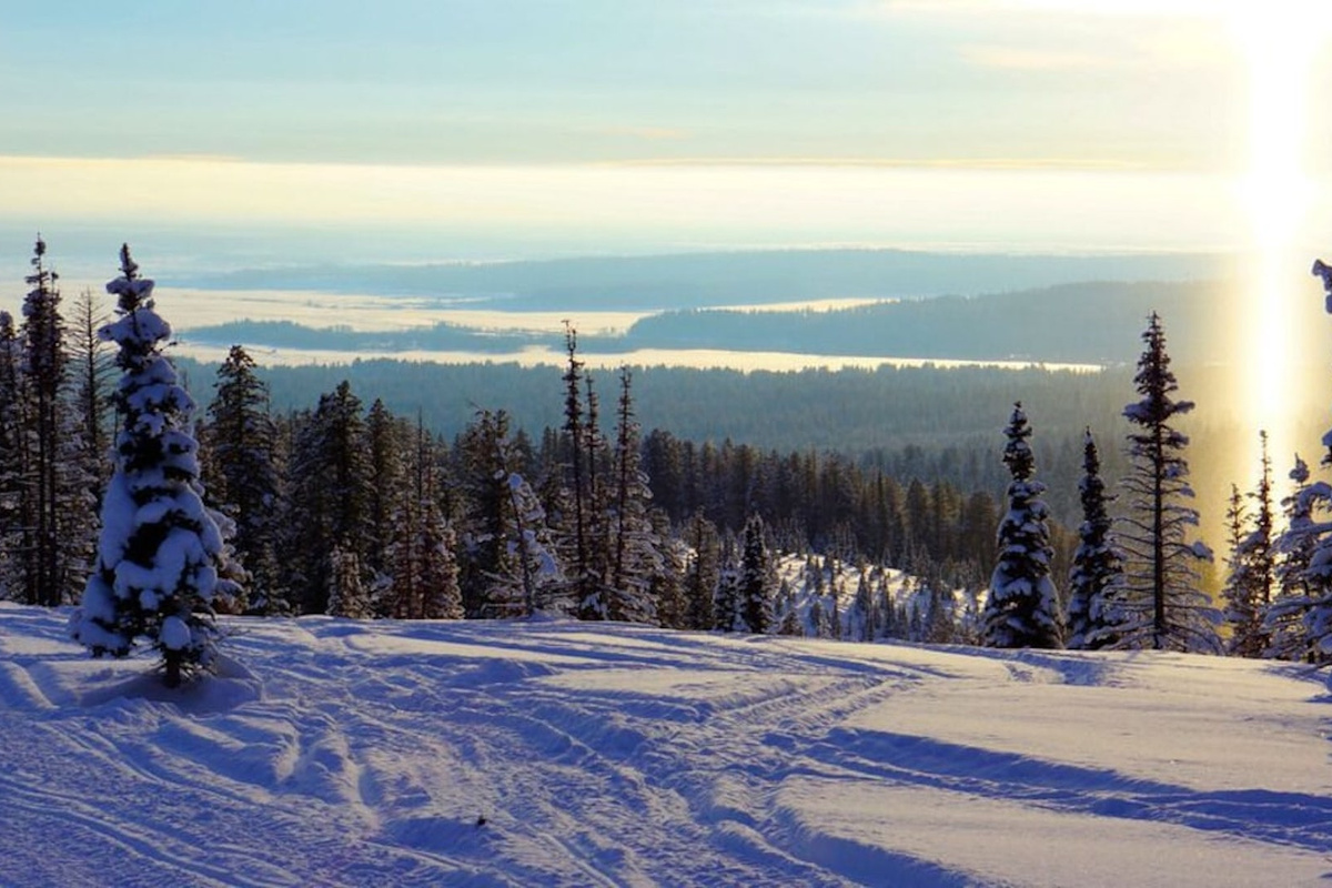 In the winter, Island Park offers breathtaking views of snow-covered landscapes.
