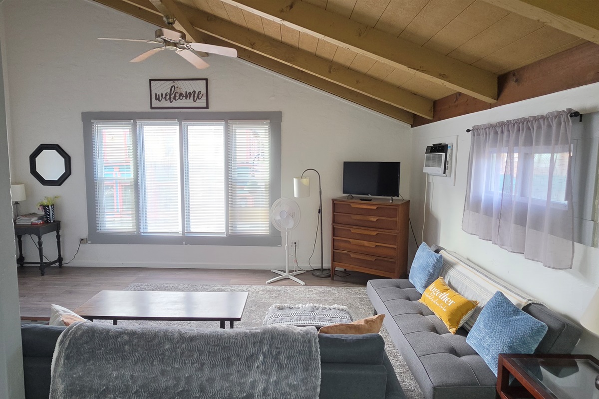 View of the living area from Kitchenette