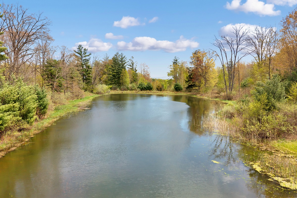 View of the pond.