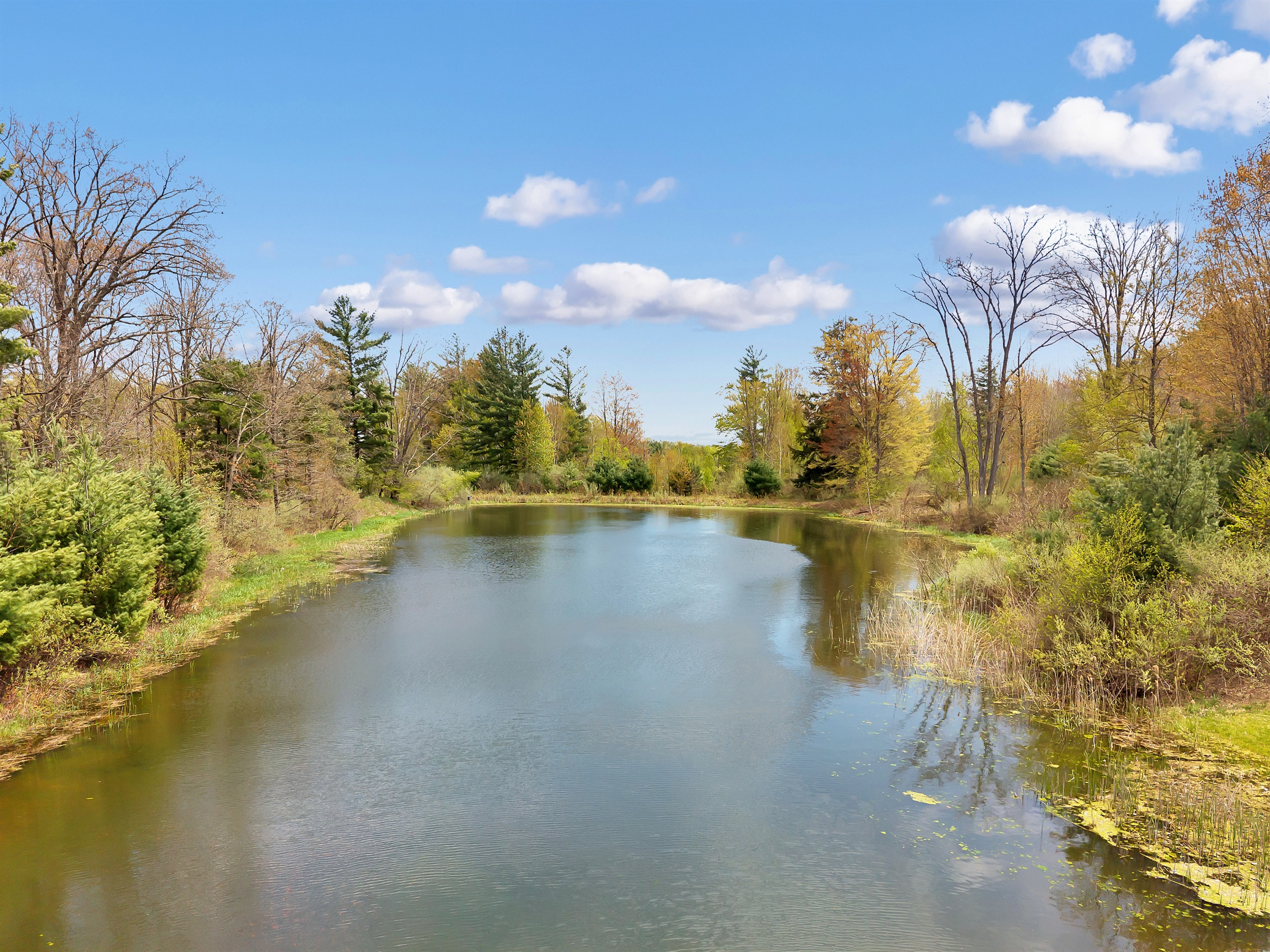View of the pond.