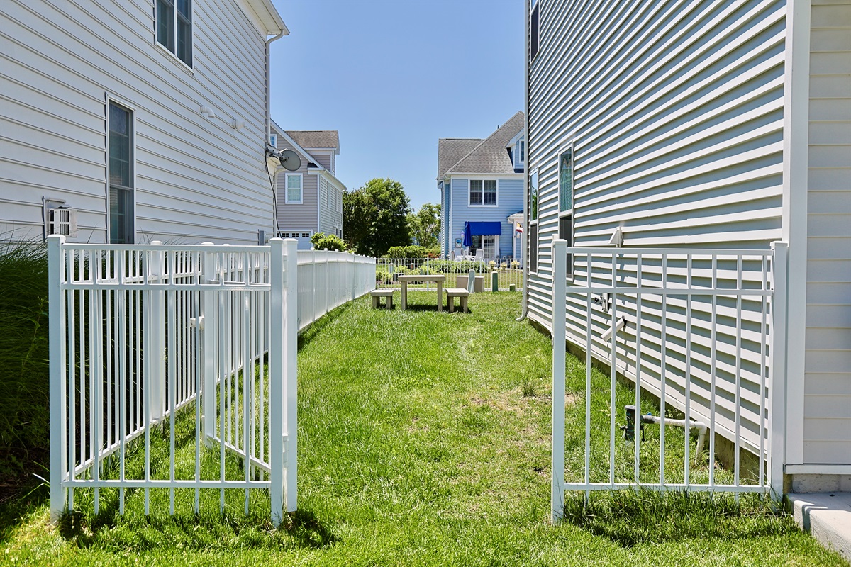 Backyard