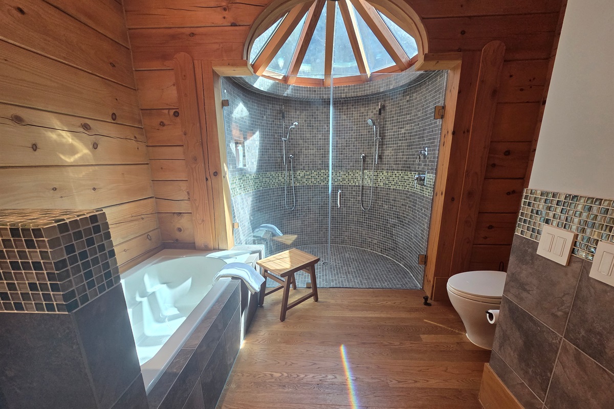 Spa-like second bedroom bathroom with a soaking tub and a large walk-in shower.