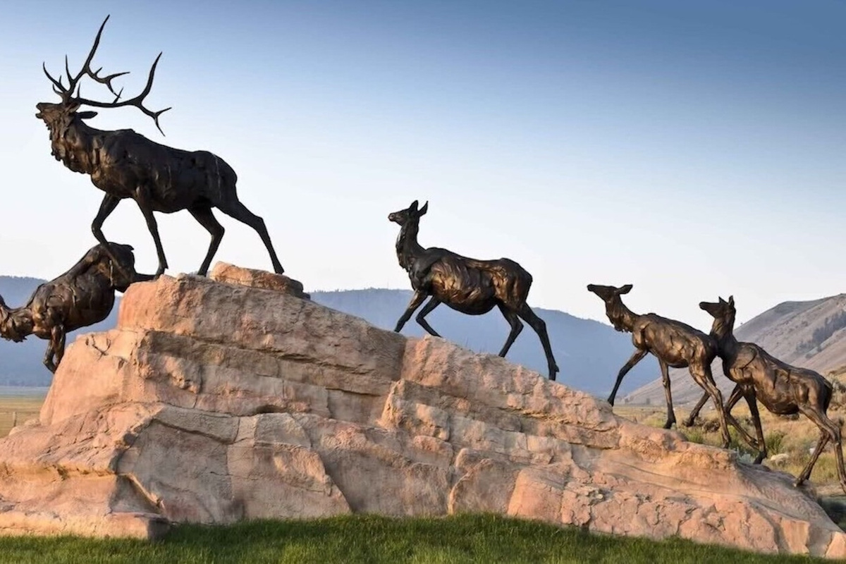 Take a day trip and visit the National Wildlife Museum is about 1 hr away.