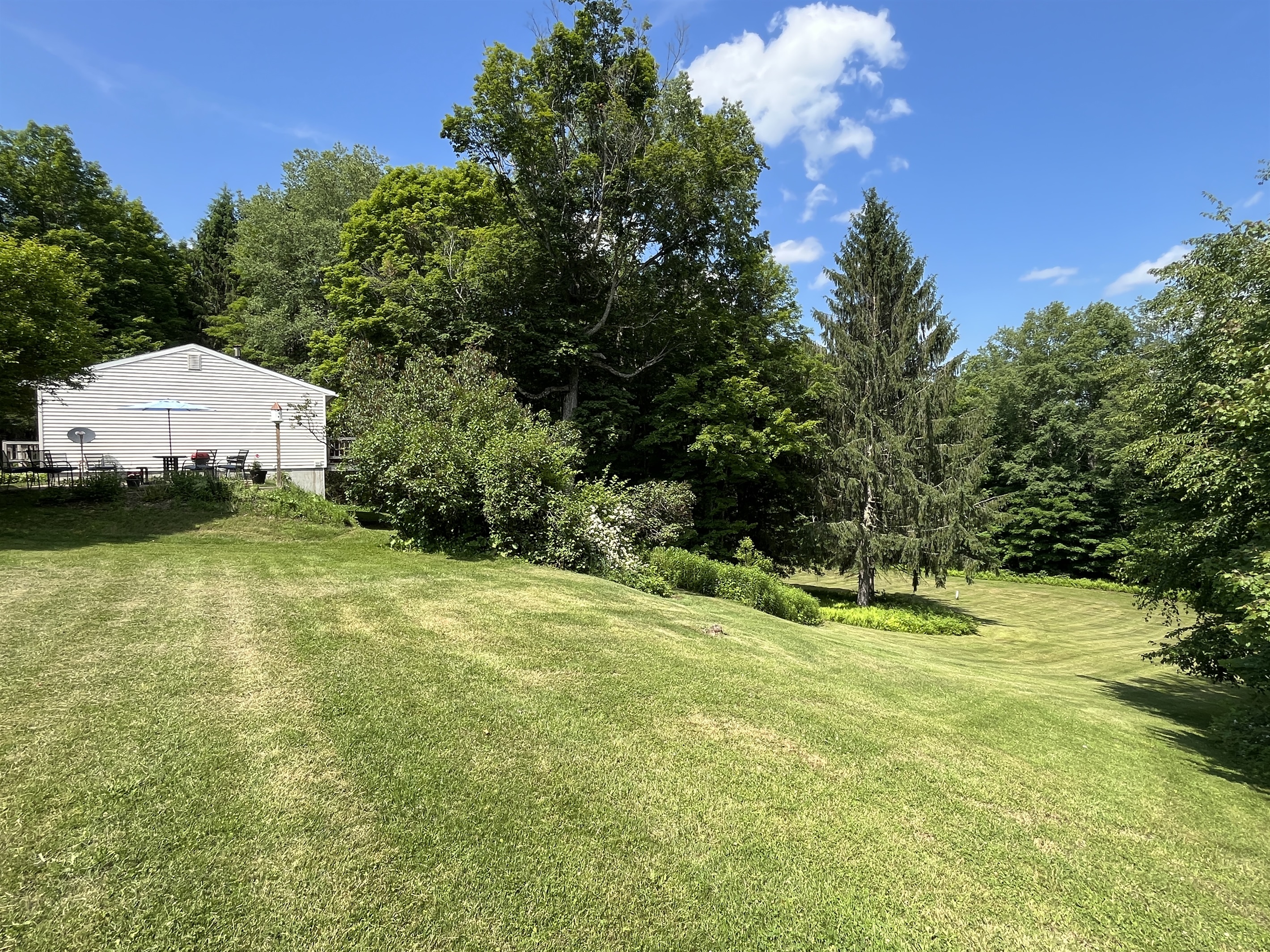 Cottage House side/back yard