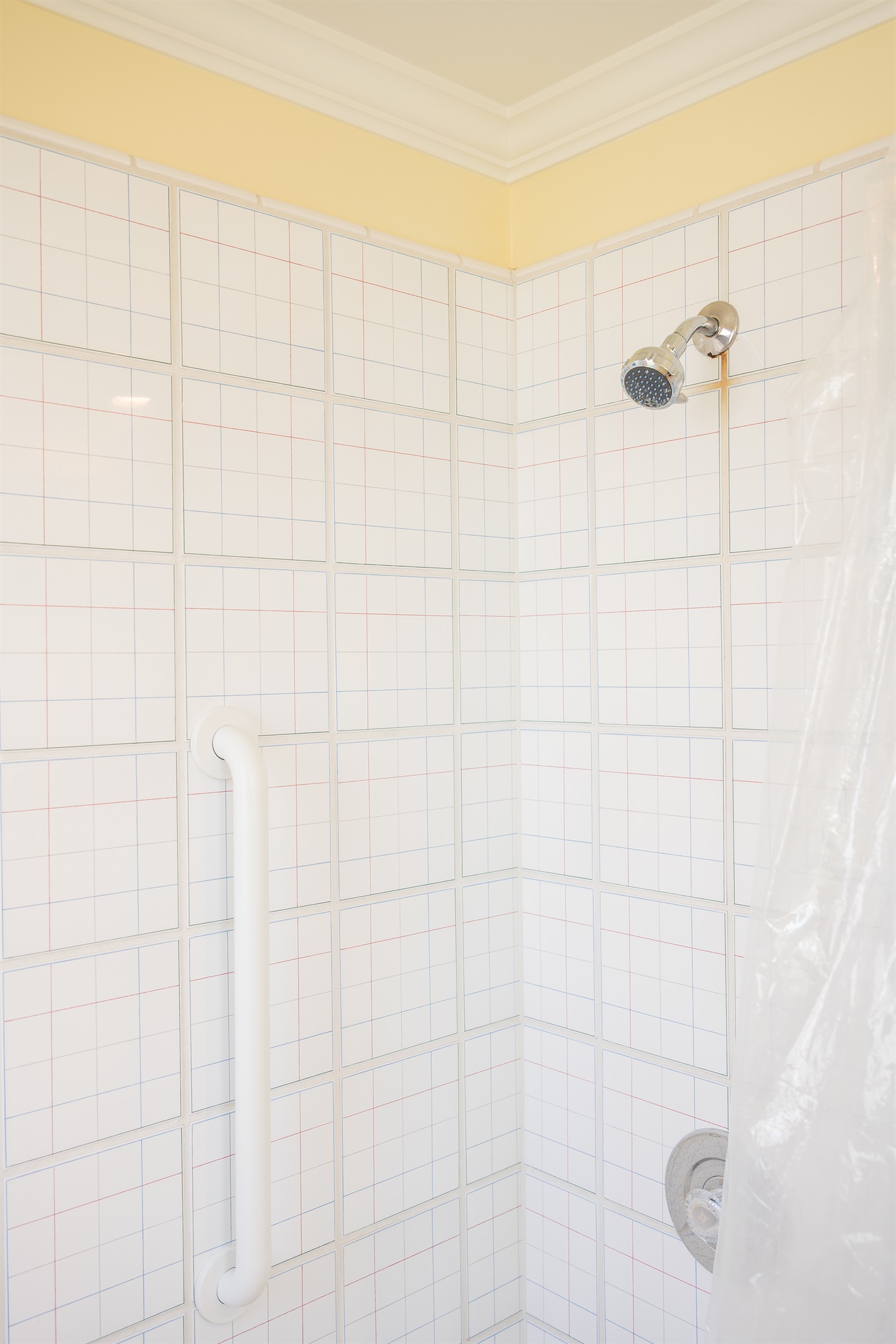 Shower in the Primary ensuite bathroom