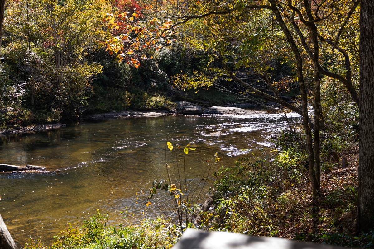 Feel the rush of the river!