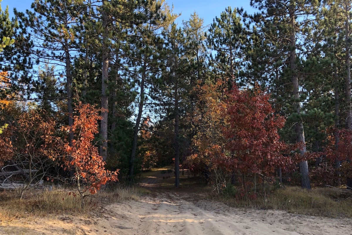 More walking trails to enjoy the landscape. There are boats and vehicles stored on the property, but they are not a nuisance.