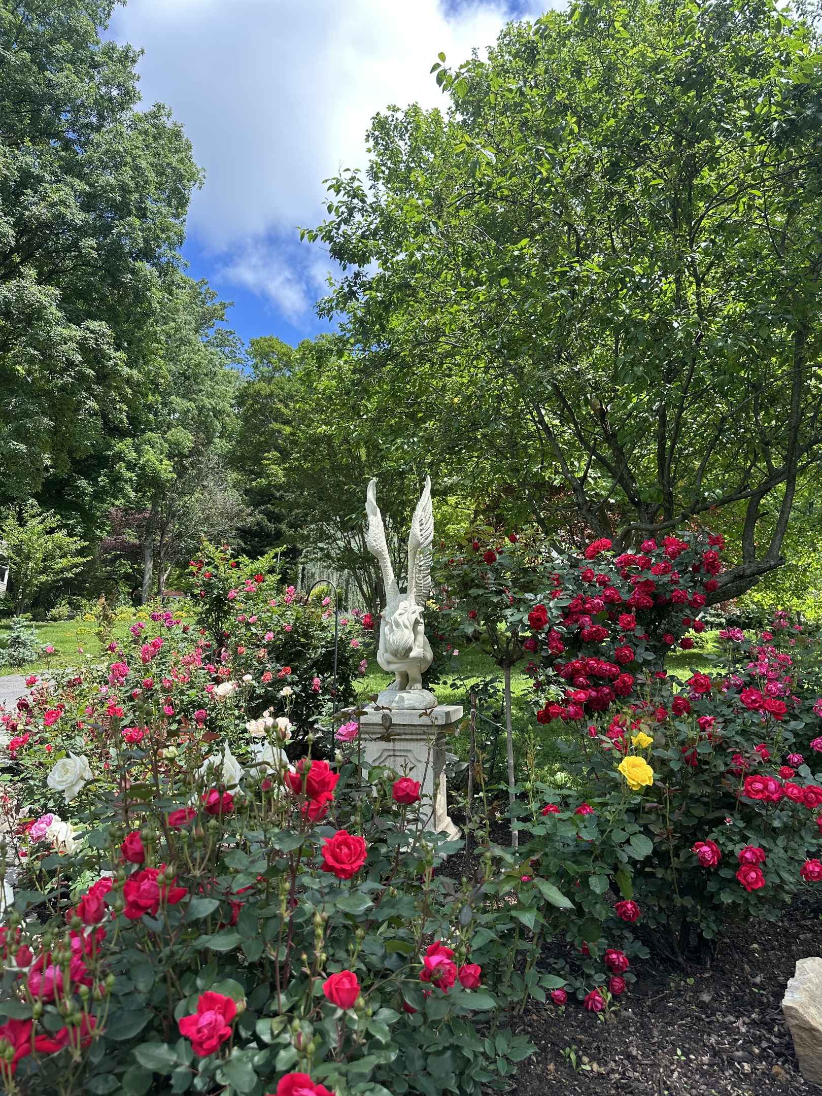 Rose Garden with Remembrance statue