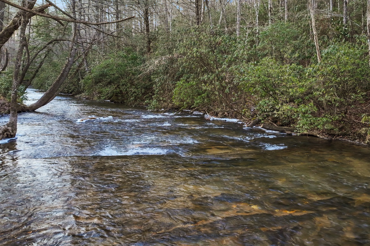 Fightington Creek offers serene sounds and a peaceful place to explore. Great for tubing - we provide the tubes and life jackets.
