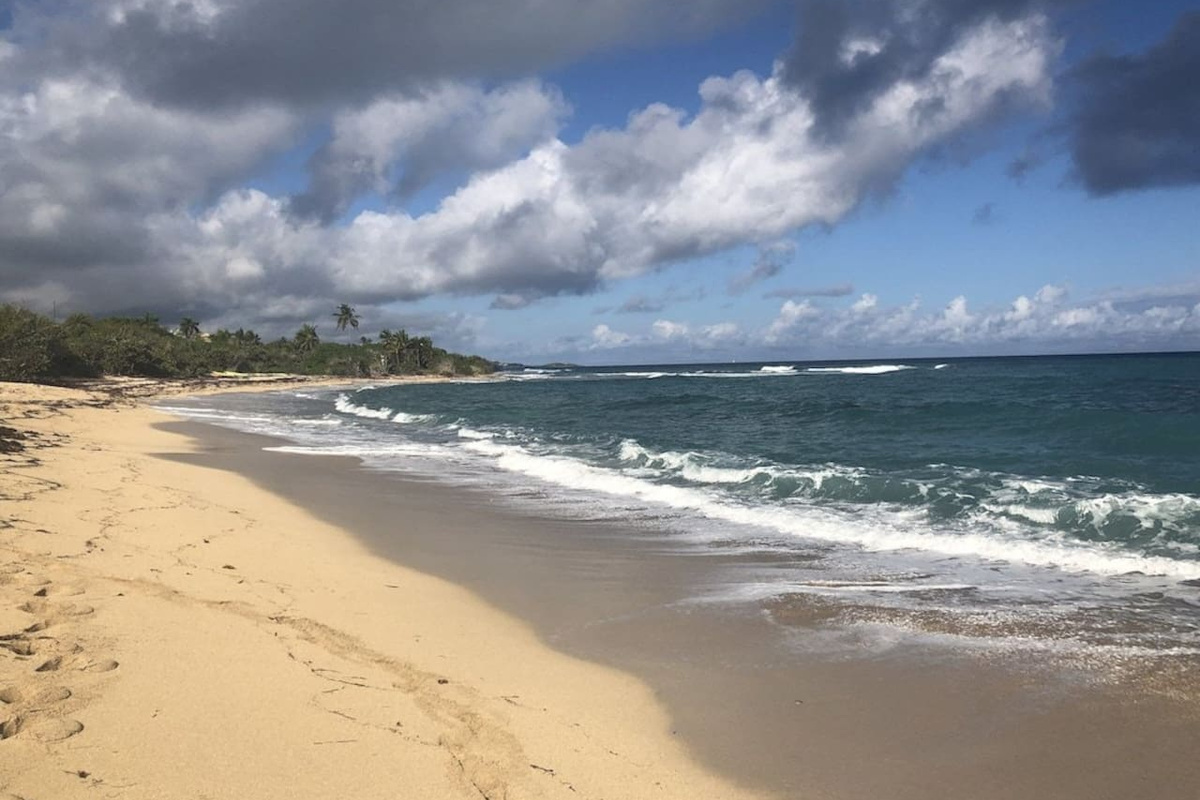 Shoys beach (just minutes away)