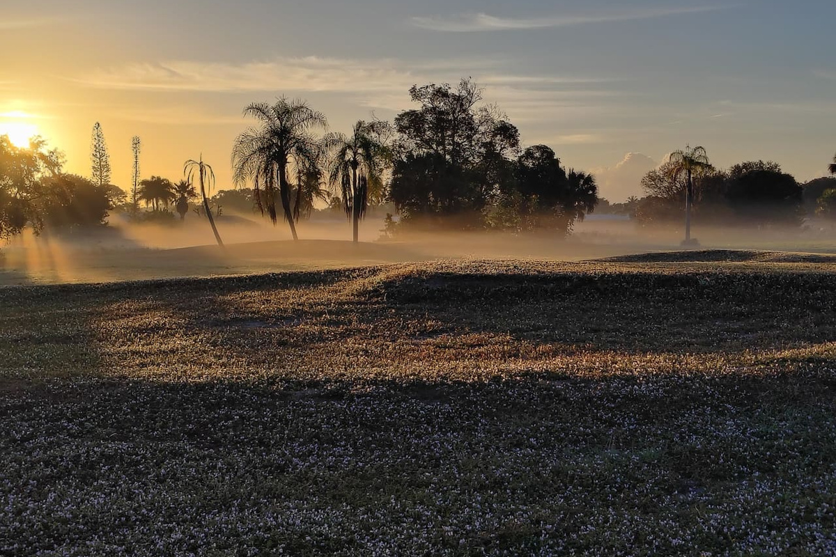 Wake up to misty mornings and golden light — your backyard opens onto a peaceful open natural space.
