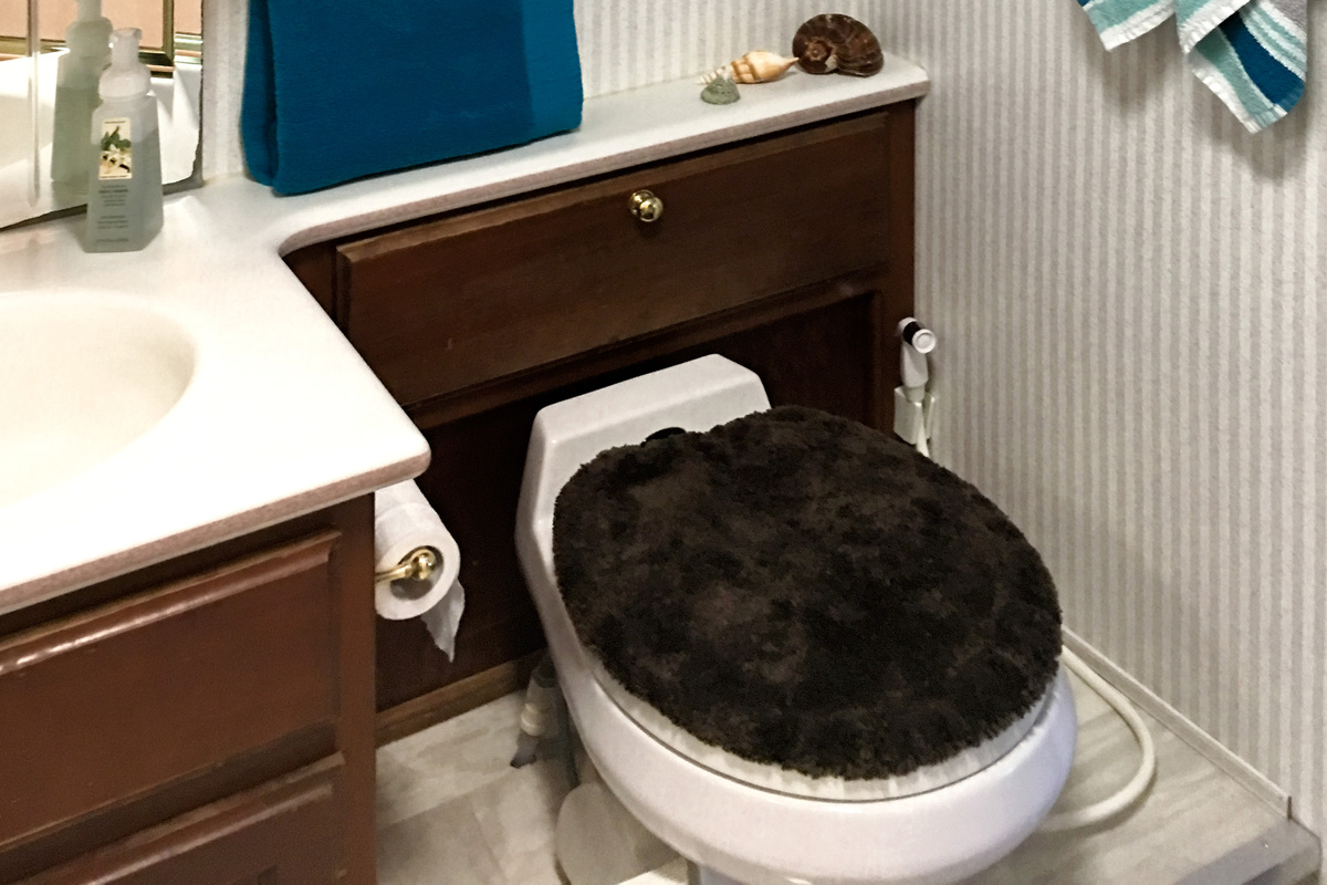 Toilet and Stocked Cabinet