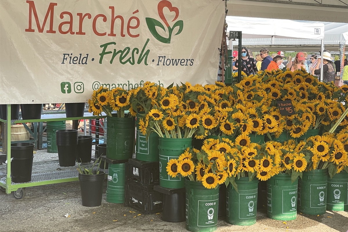 Flowers at the Market