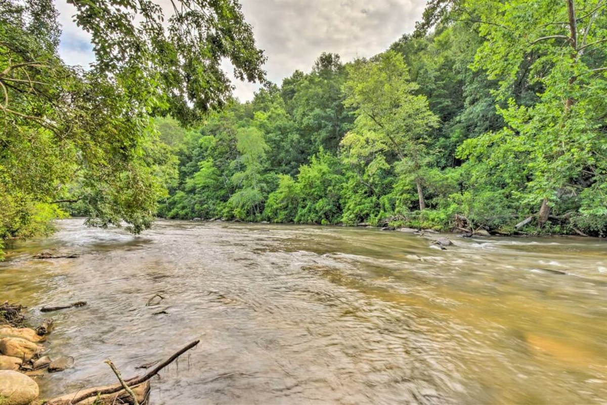 Cartecay River in the back yard