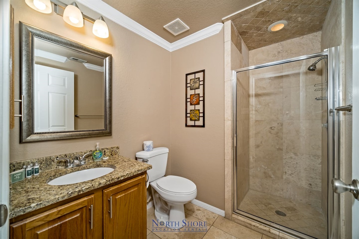 Walk-in Shower in Guest Bath