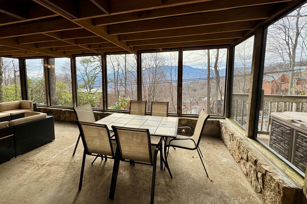 WINTER SCREENED PORCH VIEW