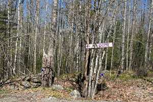 Dome sign that points to the dome