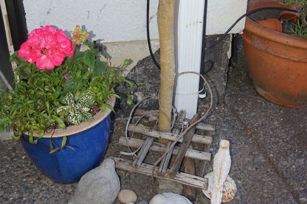 Some garden art you will find around