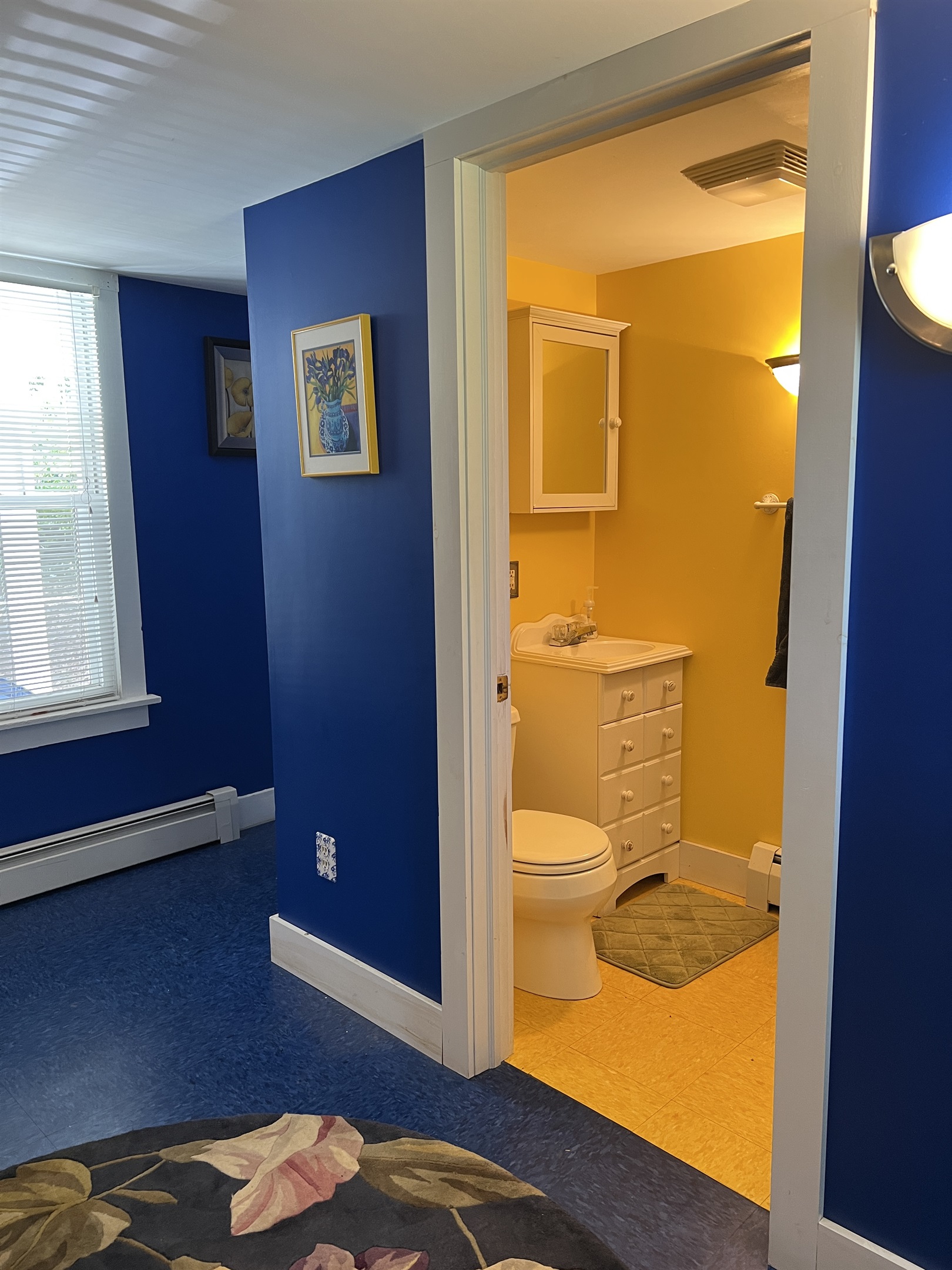 Dandelion main house entry bathroom with shower.