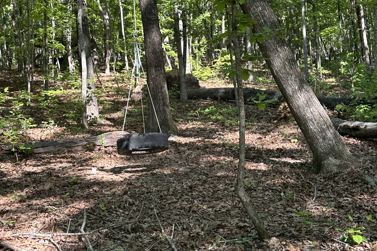 Tire swing above outdoor kitchen area