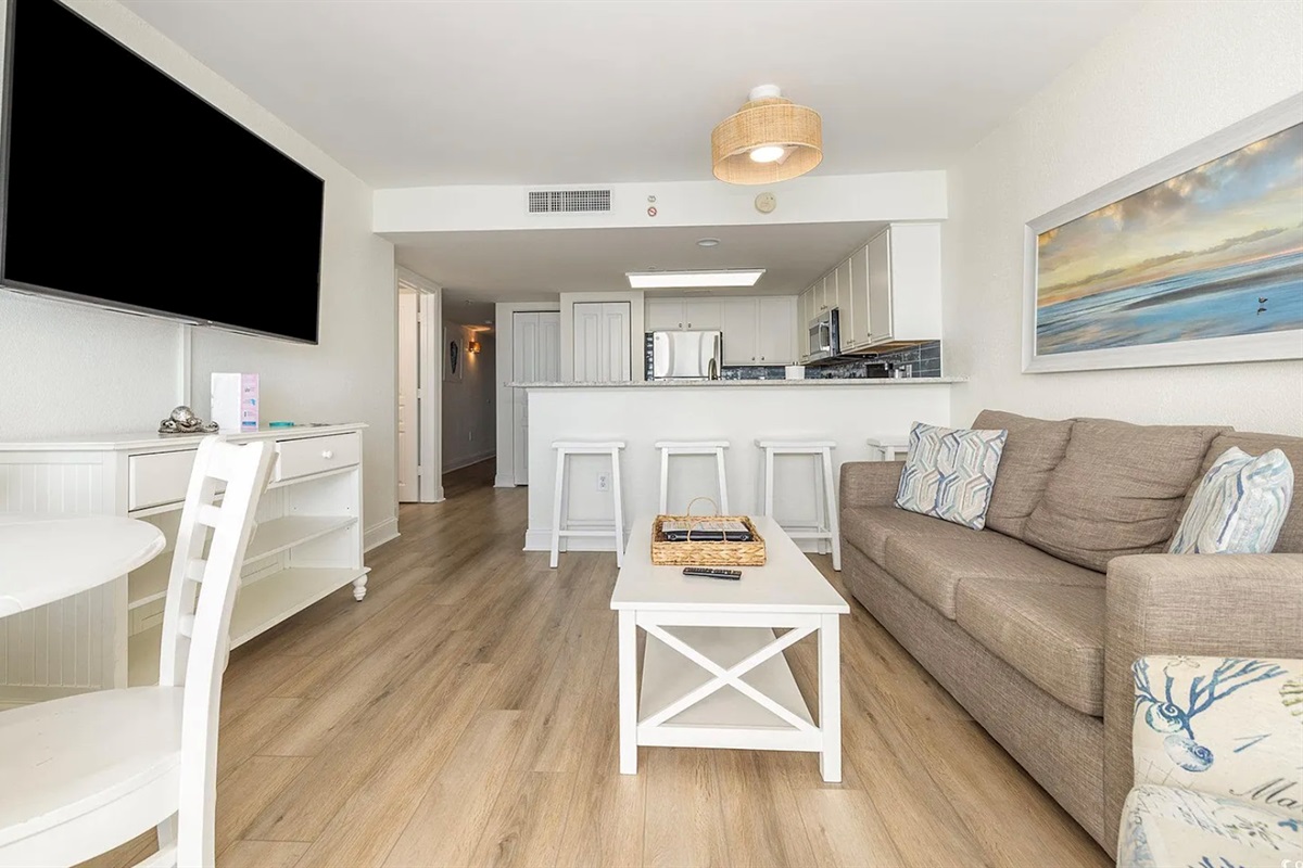 Living room with sleeper sofa