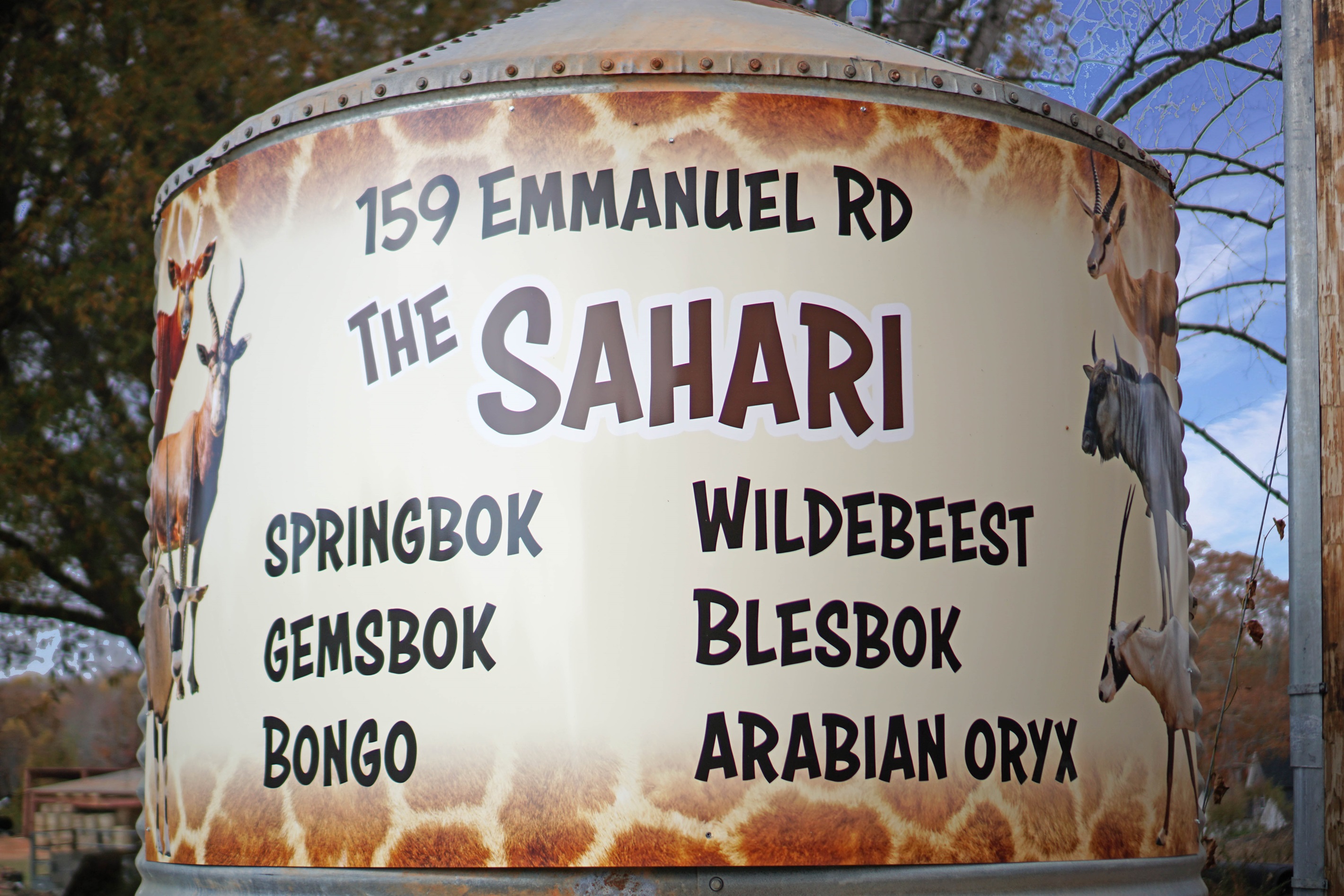 Discover a world of amazing wildlife! Get ready to encounter a diverse collection of fascinating animals.