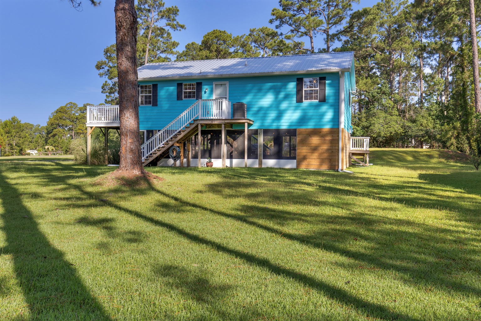 The Blue House