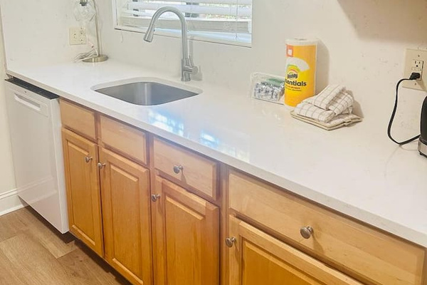 Kitchen counter and dishwasher
