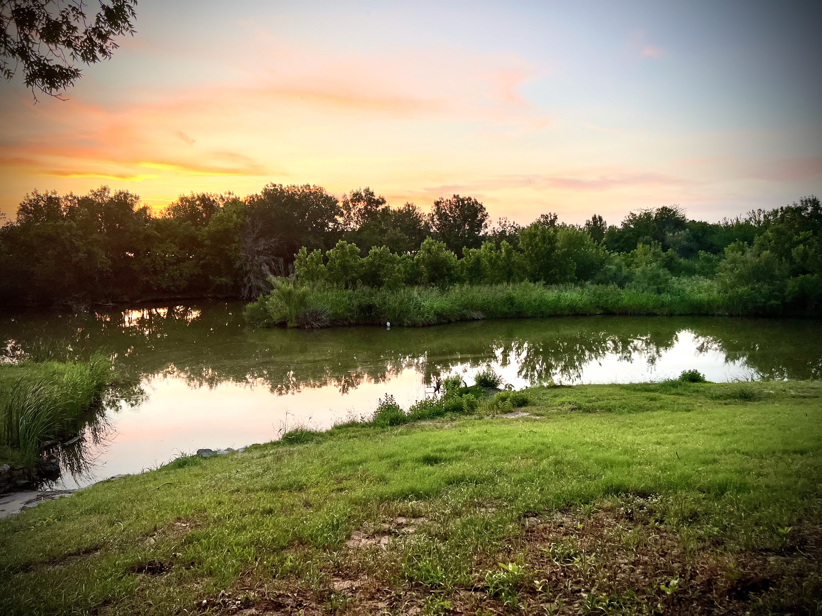 Lakefront skoolie retreat at sunset on Lake Granbury