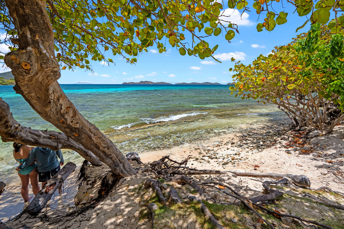 Towering palms and ocean breezes create the perfect island atmosphere.