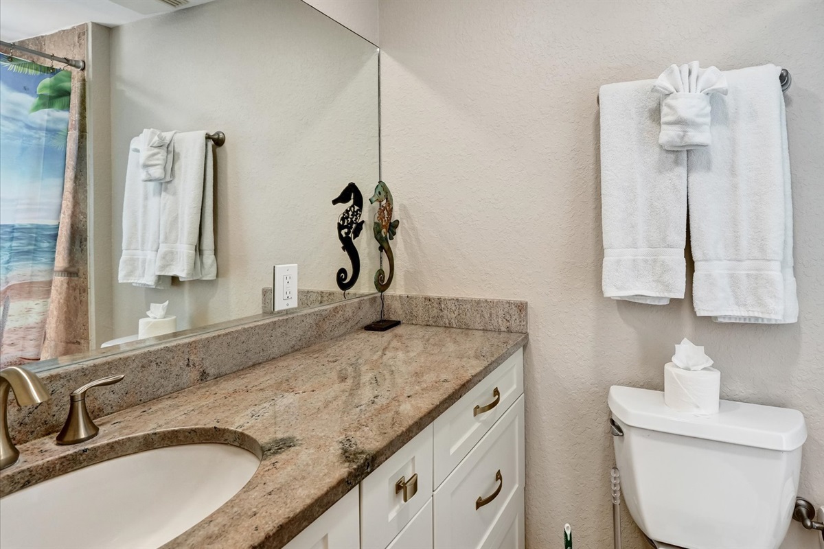 Guest Bathroom with Tub