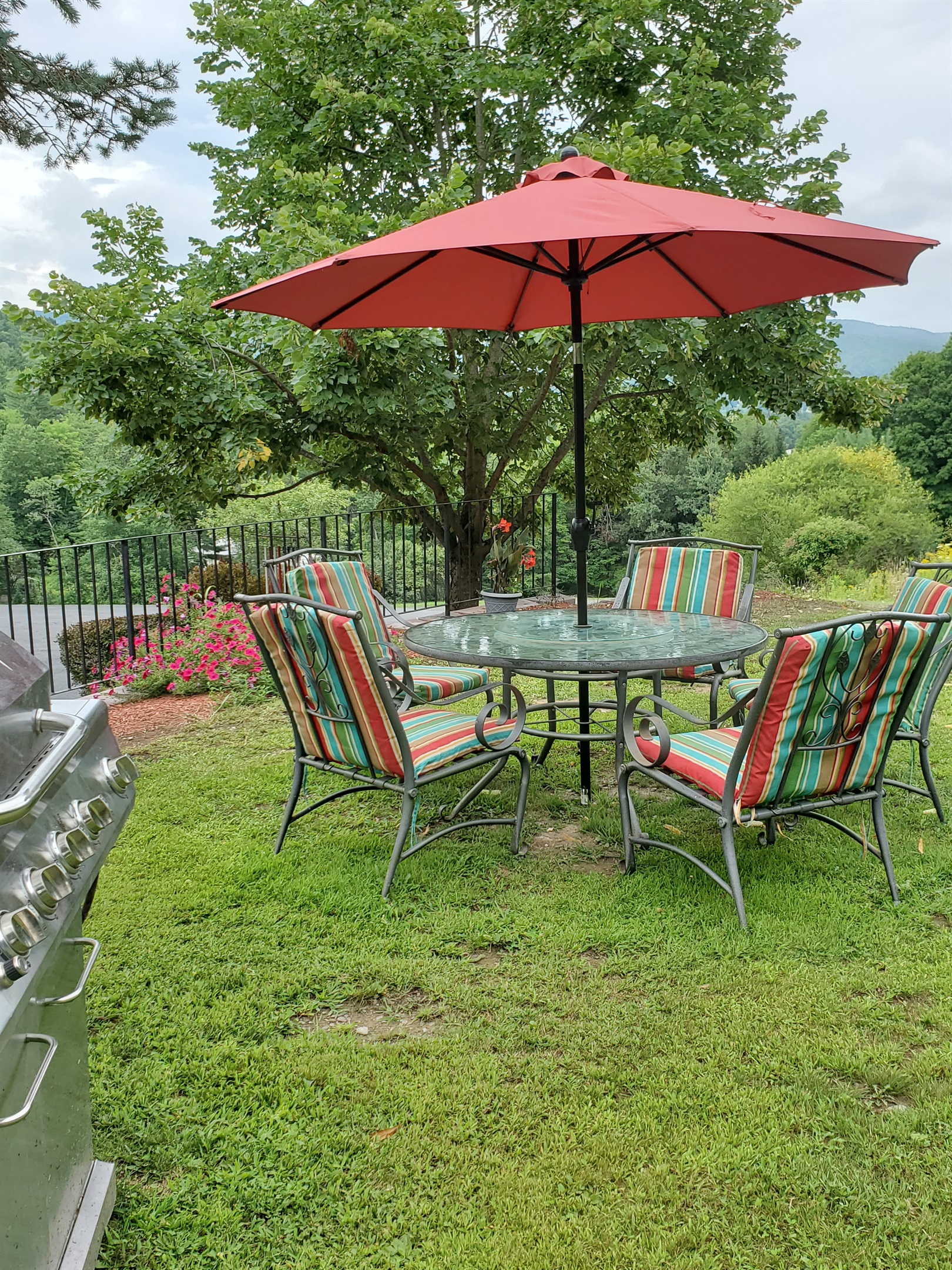 Grill and outdoor dining