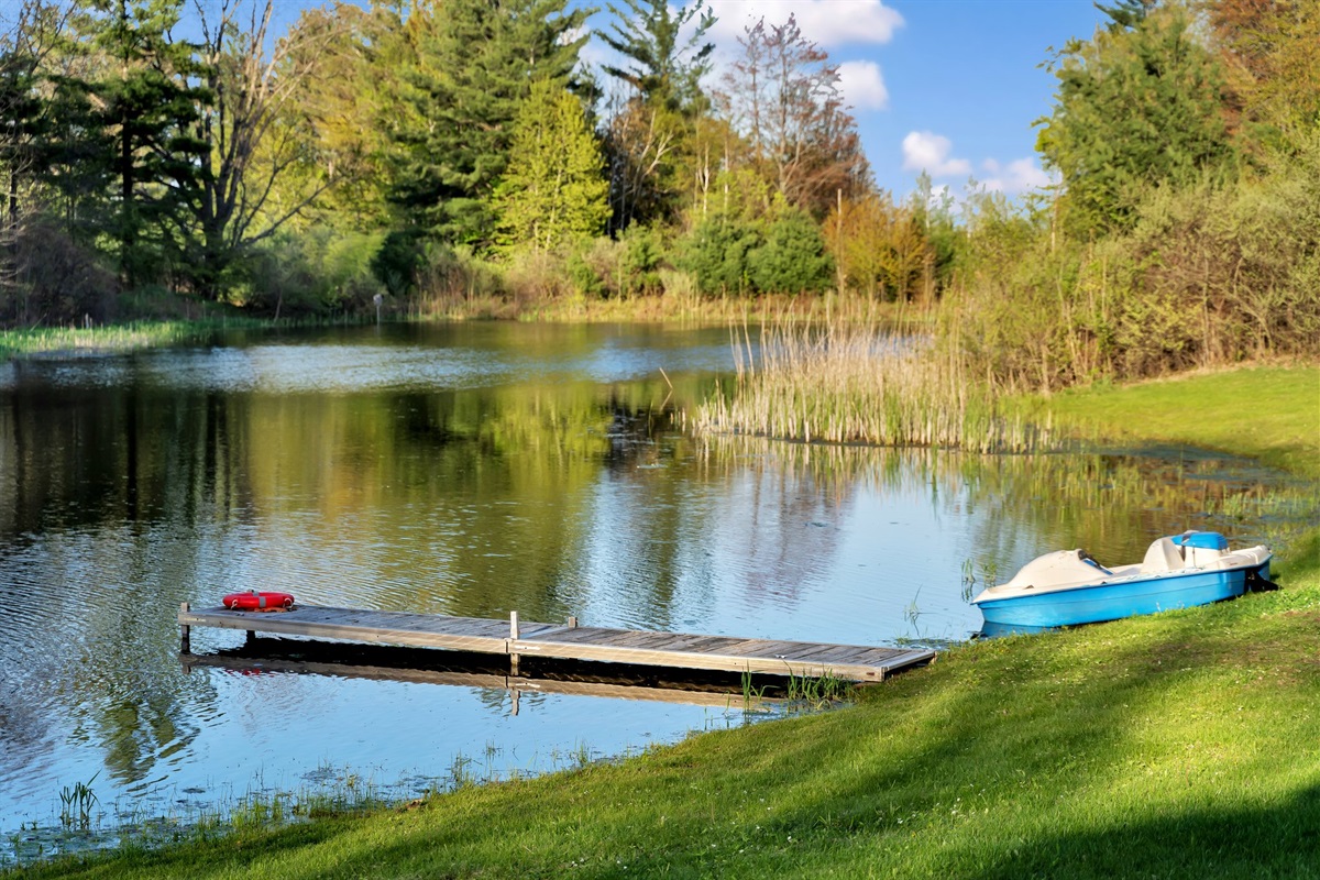 Pond view with dock and paddle boat.