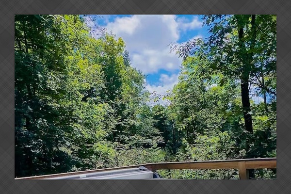 The treehouse deck offers a luxurious outdoor experience with an elevated hot tub & XL hammock seamlessly built into the deck floor. Additionally, you can enjoy the refreshing outdoor shower May 15- October 15. The hot tub is available 365 days 24/7.