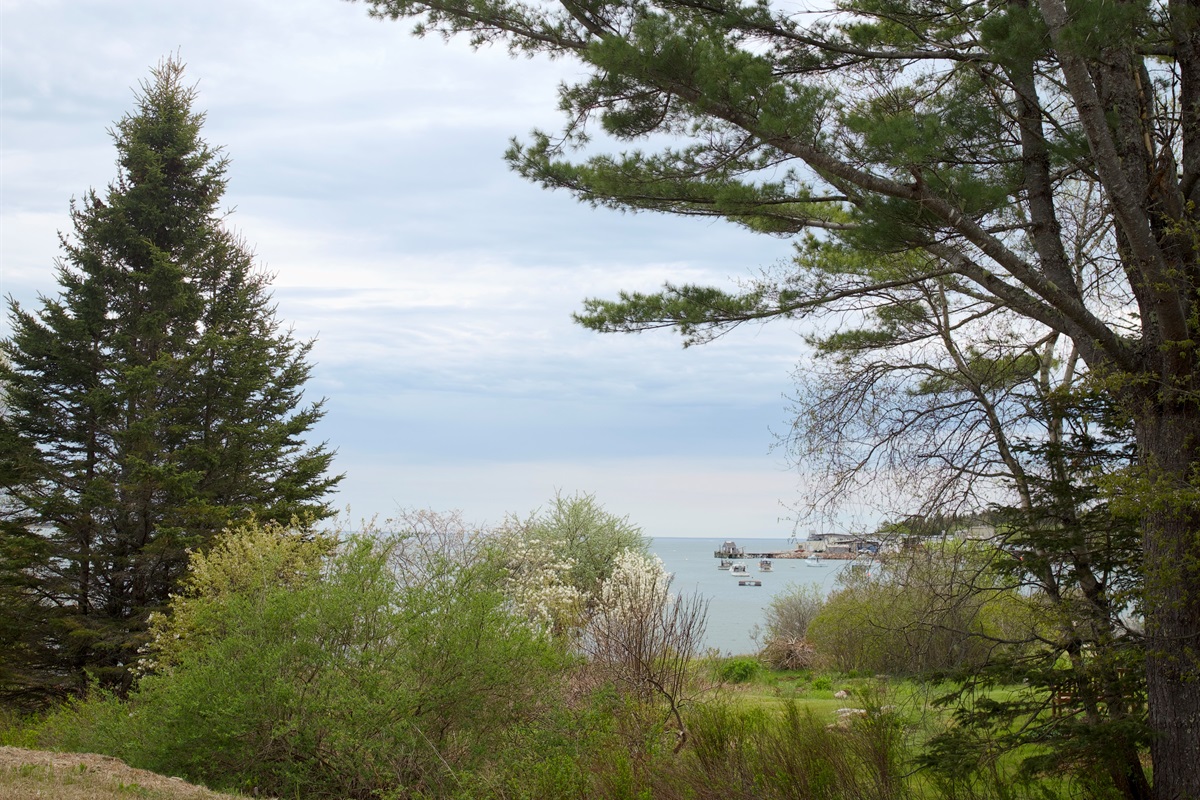 You can experience a working fishermans marina from the lawn