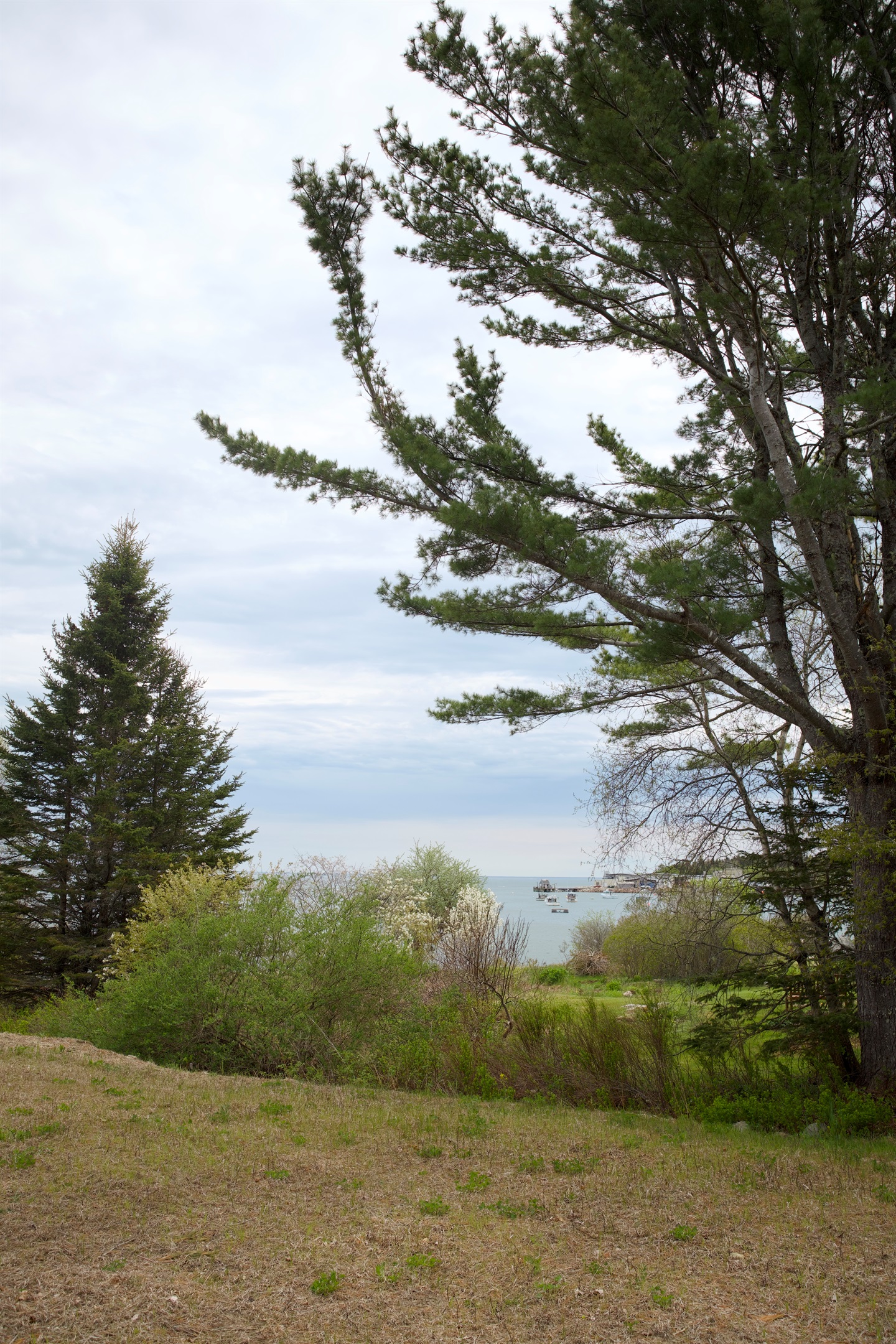 You can experience a working fishermans marina from the lawn