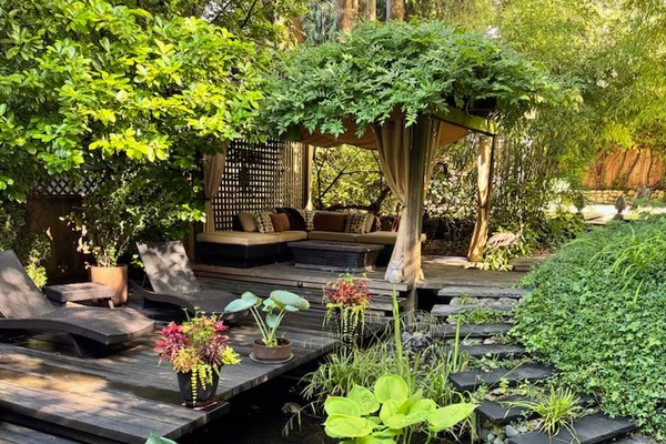 Backyard
