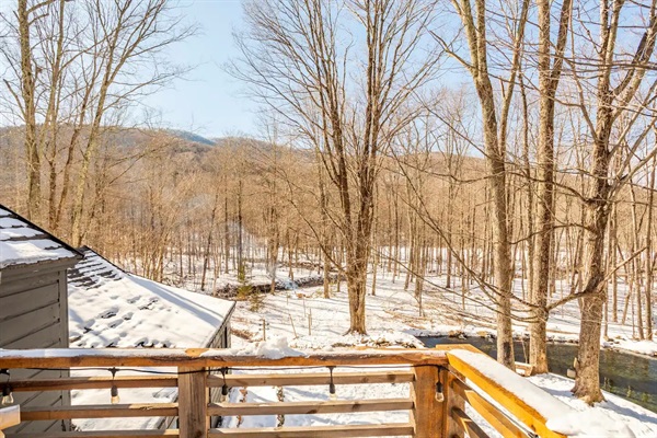 View from front balcony provides amazing views in every direction - pond, streams, and mountains!