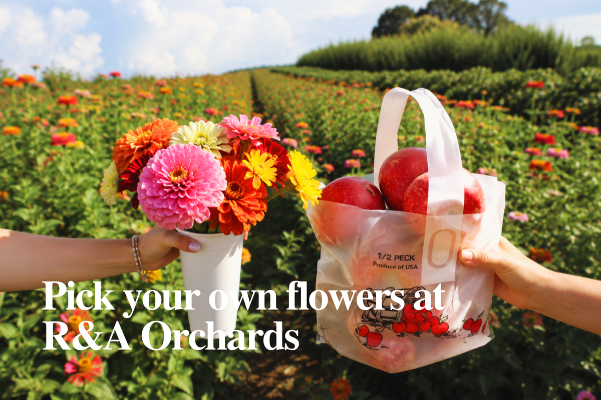 Pick your own apples and seasonal flowers at R&A Orchards, and enjoy a quintessential North Georgia fall day surrounded by mountain scenery.