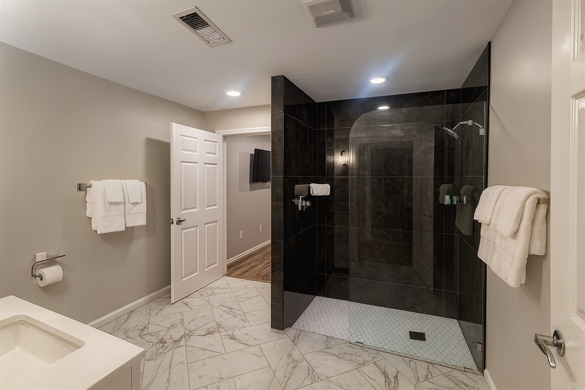 Queen Jack & Jill Bathroom #4