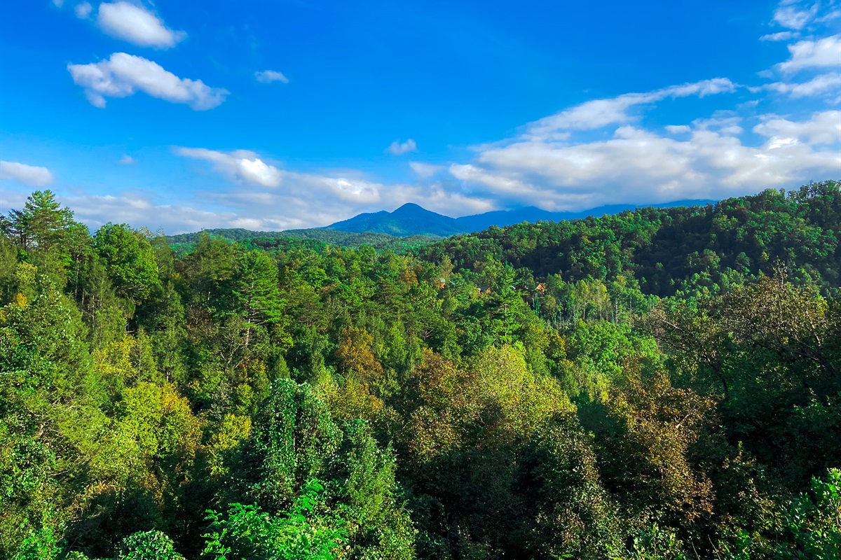 Stunning view of Mt LeConte from the upper deck