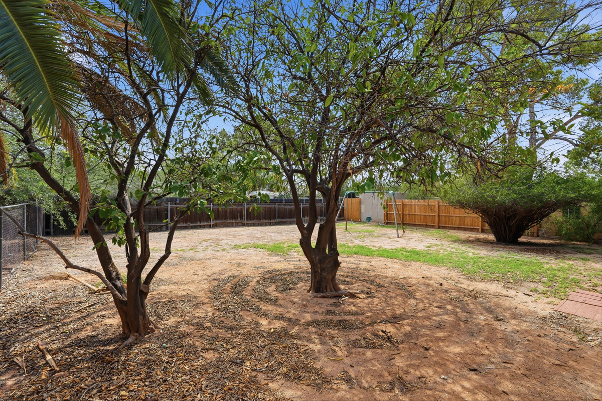 Families will love our fully fenced, low-maintenance desert backyard!